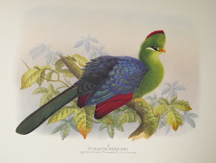 Folio Society - Campbell, Bruce - The Bird Paintings of Henry Jones, no. 166 of 500 copies, with 24 colour plates by Henry Jones, oblong folio, original green half morocco, gilt, brown cloth slip case, gilt arms of the Z